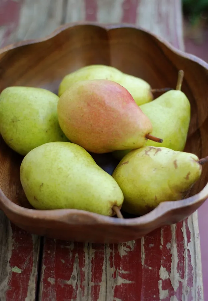 Exploring Vegan and Local Diets: Pros, Cons, and Health Considerations